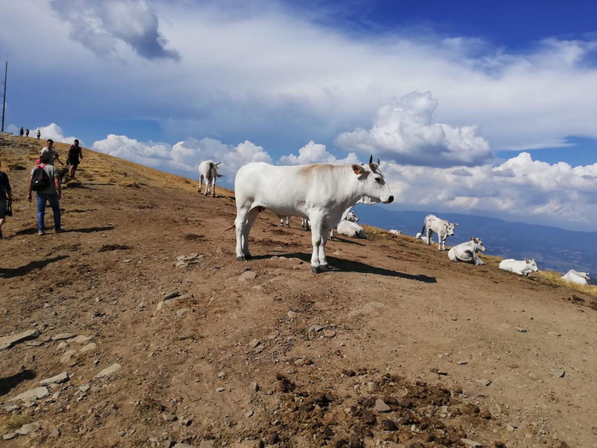 Il Rifugio Di Vale * Cetica